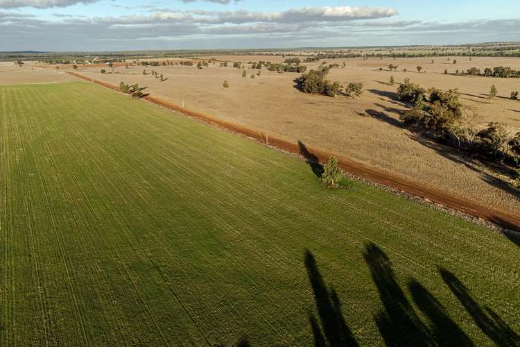 Second view of Homely mixedFarming listing, 465 Quilties Corner Road, Buddigower, West Wyalong NSW 2671