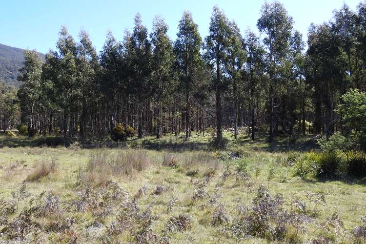 Main view of Homely lifestyle listing, LOT 2140066 Hop Valley Road, Blackwood Creek TAS 7301