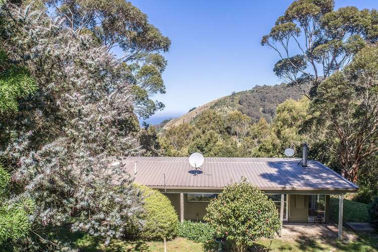 35 Busty Road, Apollo Bay VIC 3233