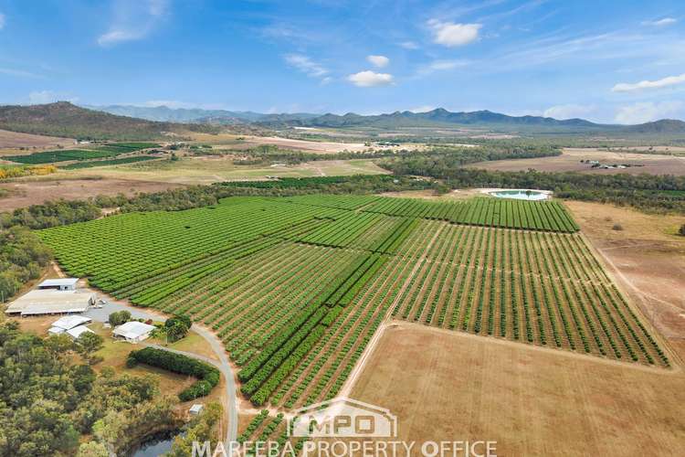 Main view of Homely horticulture listing, 65793 Burke Developmental Road, Dimbulah QLD 4872