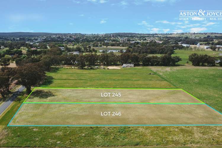 Lot 245 & 246 Manganese Road, Grenfell NSW 2810