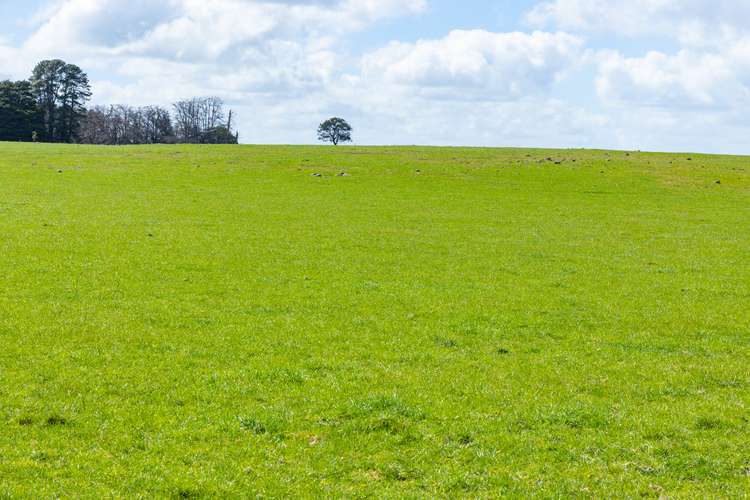 Seventh view of Homely residentialLand listing, LOT 2 Bostocks Road, Woolsthorpe VIC 3276
