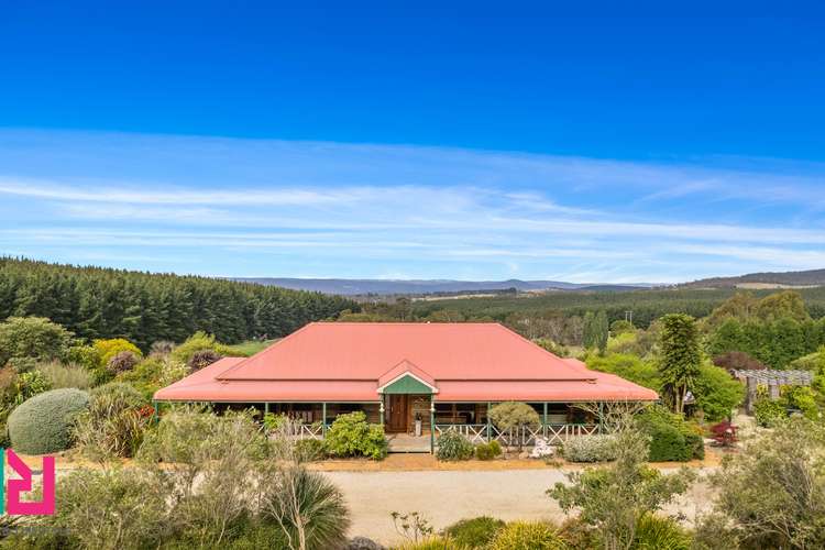 Main view of Homely acreageSemiRural listing, 54 Cases Lane, Mount Lambie NSW 2790