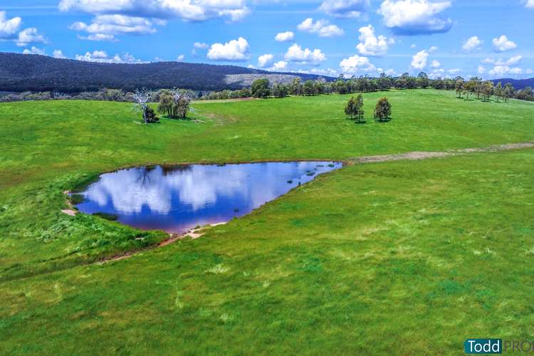 LOT 1, 5600 Northern Highway, Tooborac VIC 3522