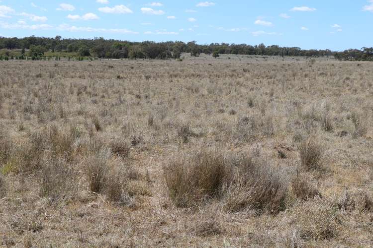 "Walma" Back Trundle Road, Parkes NSW 2870