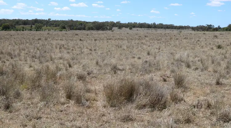 Main view of Homely rural property listing, . "Walma" Back Trundle Road, Parkes NSW 2870