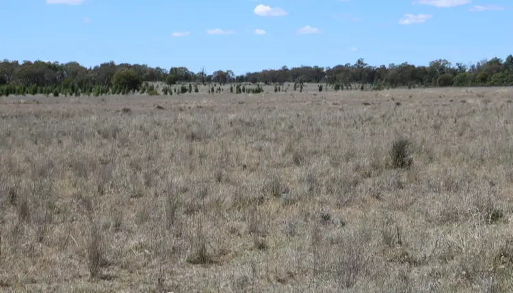 Third view of Homely rural property listing, . "Walma" Back Trundle Road, Parkes NSW 2870