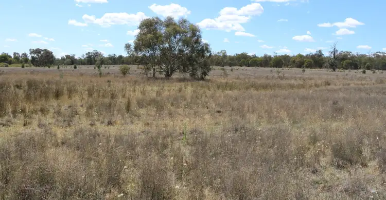 Fifth view of Homely rural property listing, . "Walma" Back Trundle Road, Parkes NSW 2870