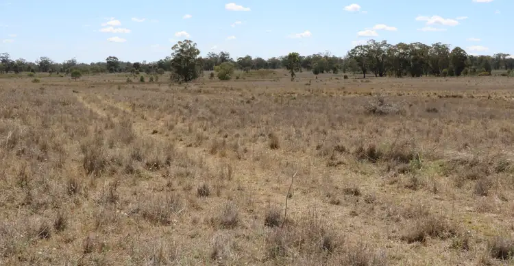 Sixth view of Homely rural property listing, . "Walma" Back Trundle Road, Parkes NSW 2870