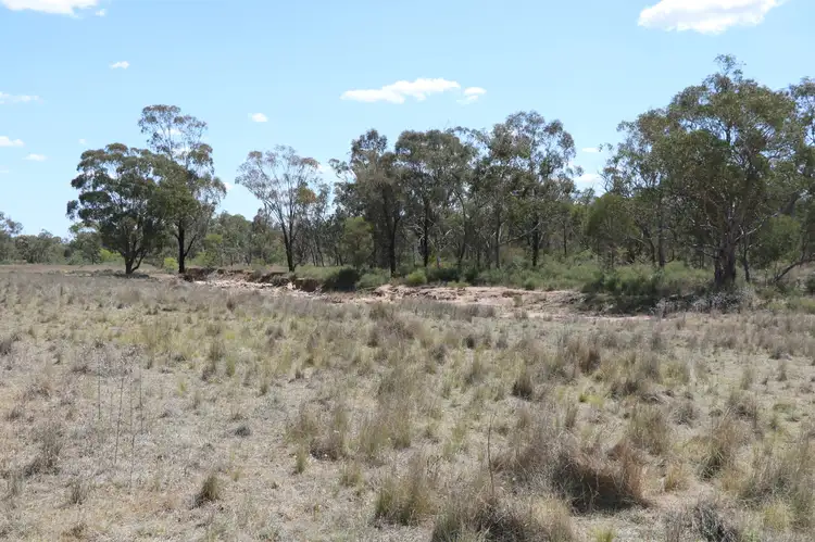 Seventh view of Homely rural property listing, . "Walma" Back Trundle Road, Parkes NSW 2870