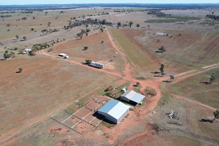 Fifth view of Homely mixedFarming listing, "Emu Valley", 468 Emu Valley Lane, Tullamore NSW 2874