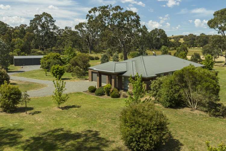 693 Howes Creek Road, Mansfield VIC 3722