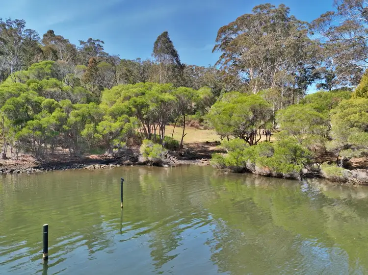 Fourth view of Homely land listing, 206 Daunceys Road, Wonboyn NSW 2551