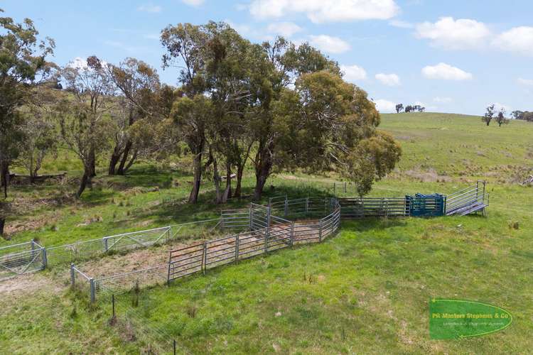 Fifth view of Homely mixedFarming listing, 655 Range Road, Meadow Flat NSW 2795