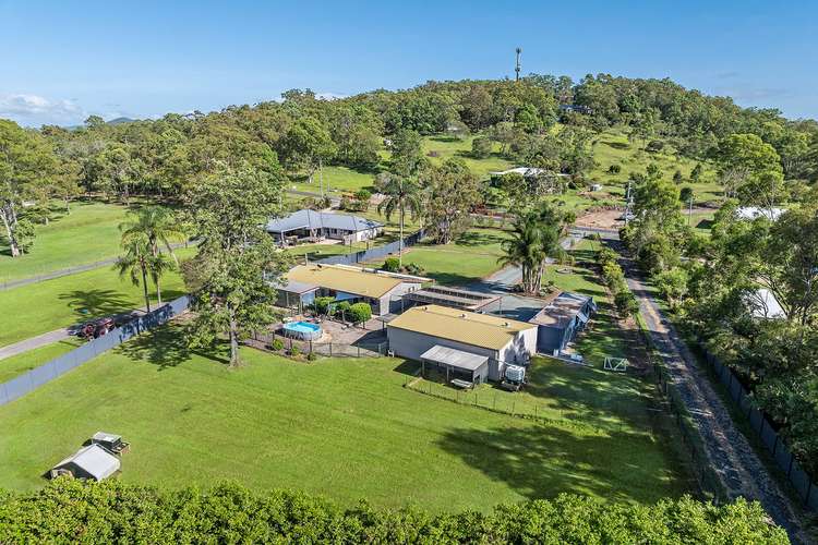 Main view of Homely house listing, 24 Hatchman Court, Elimbah QLD 4516