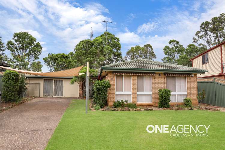 96 Pine Creek Circuit, St Clair NSW 2759