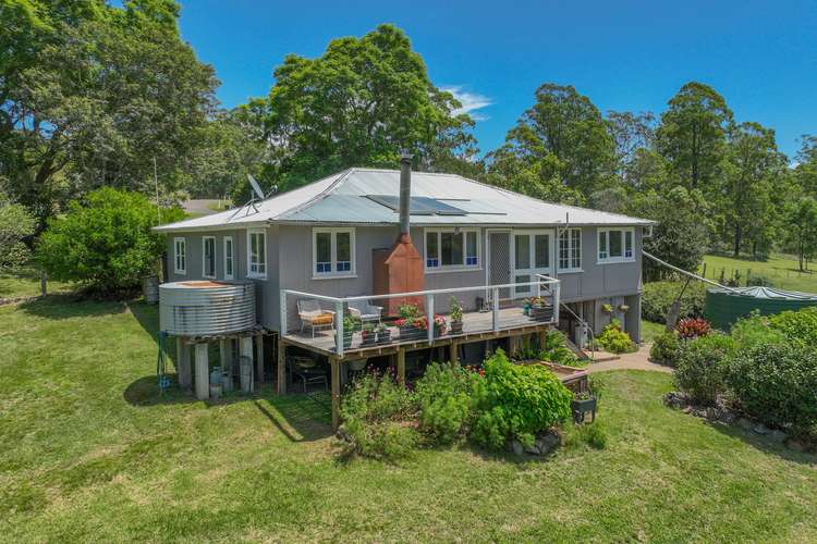 2402 Nowendoc Road, Knorrit Flat NSW 2424