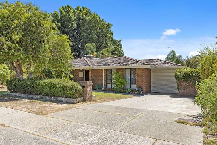 Main view of Homely house listing, 8 CROMWELL ROAD, Alexander Heights WA 6064
