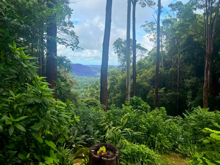Second view of Homely rural property listing, 228 Newton Drive, Nimbin NSW 2480