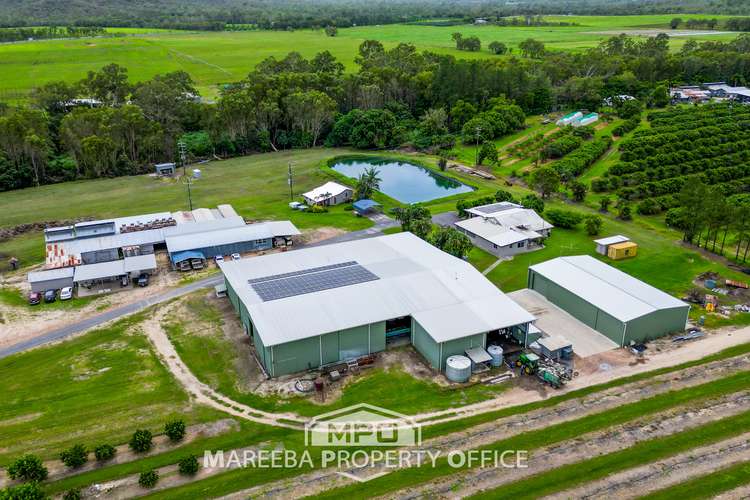 Main view of Homely horticulture listing, 4283 Kennedy Highway, Mareeba QLD 4880