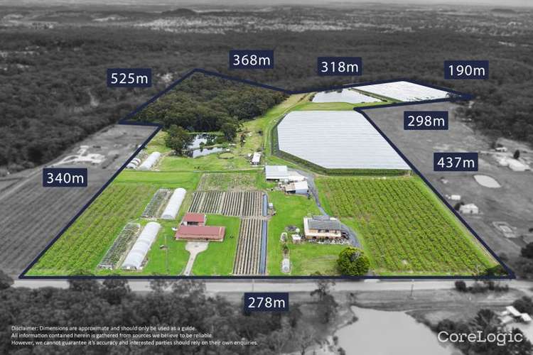 Main view of Homely acreageSemiRural listing, 133 Aberfoyle Road, Wedderburn NSW 2560
