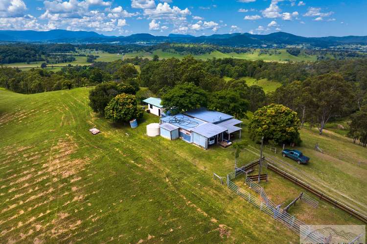 Main view of Homely acreageSemiRural listing, 372 Ettrick Road, Kyogle NSW 2474