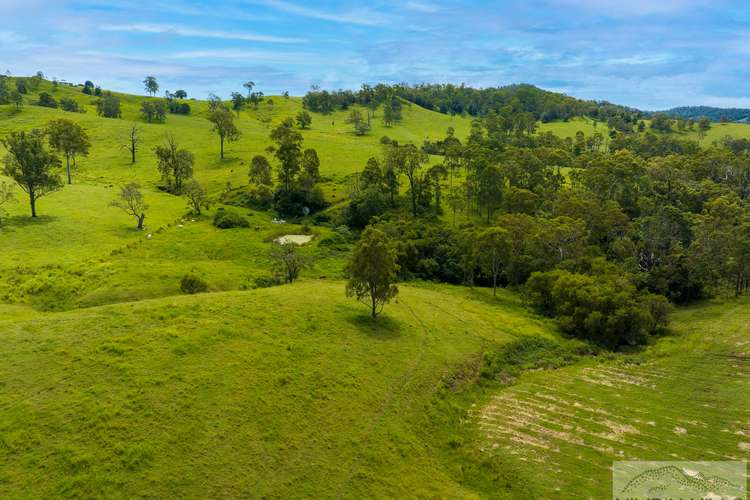 Fifth view of Homely acreageSemiRural listing, 372 Ettrick Road, Kyogle NSW 2474