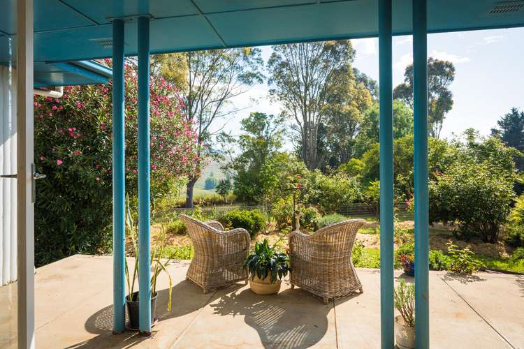 Main view of Homely livestock listing, 805 Candelo-Bega Road, Kameruka NSW 2550