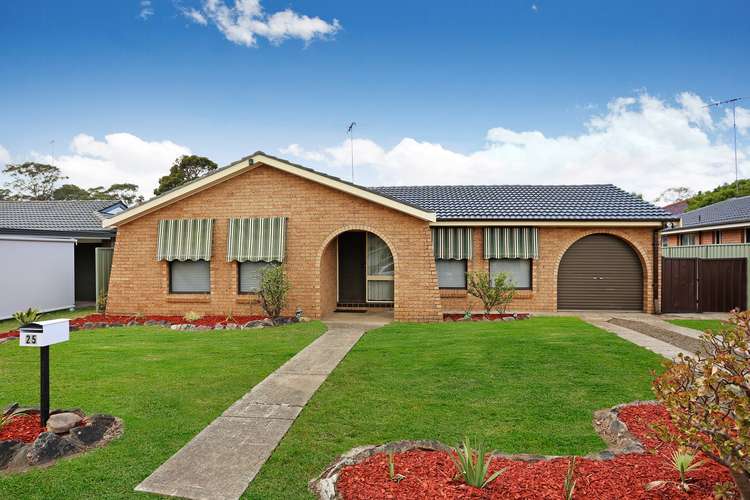 Main view of Homely house listing, 25 Scarsborough Crescent, Bligh Park NSW 2756