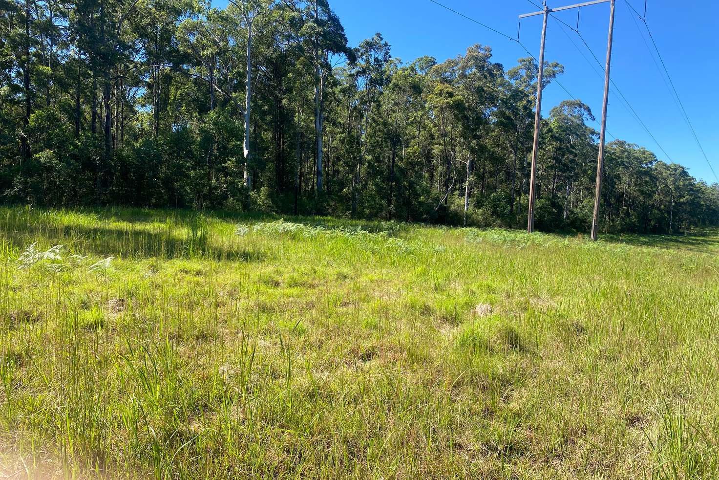 Main view of Homely residentialLand listing, 7 Chatham Creek Road, Hillville NSW 2430