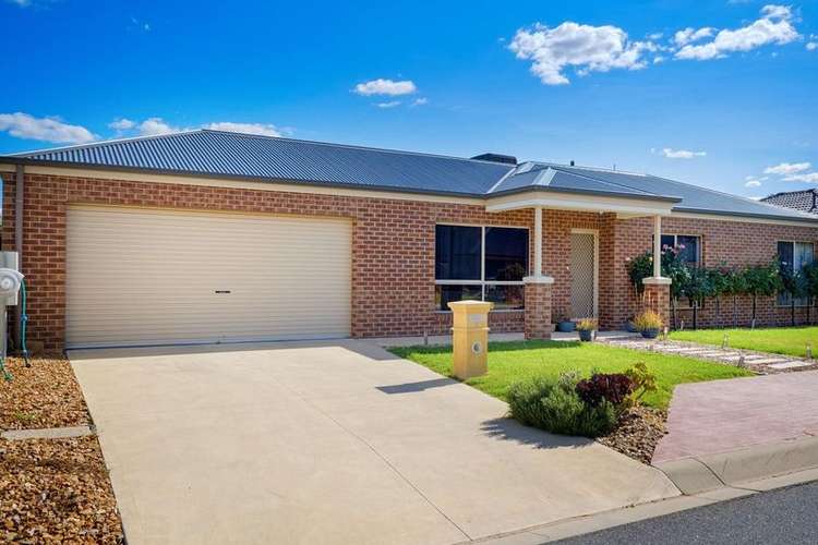 Main view of Homely house listing, 7 Cobby Court, Lavington NSW 2641