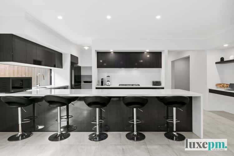 Main view of Homely house listing, 16 Bedajanawa Drive, Grovedale VIC 3216