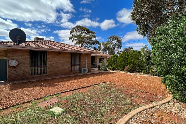 Main view of Homely house listing, 60 Hawkins Street, West Lamington WA 6430