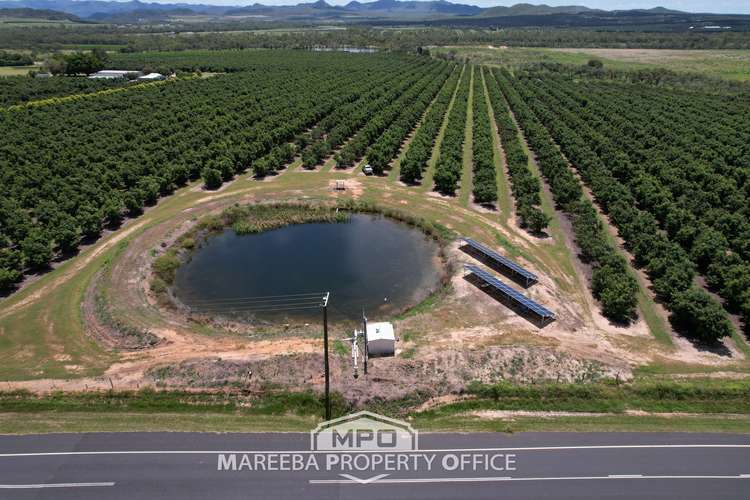 Main view of Homely horticulture listing, 65895 Burke Developmental Road, Dimbulah QLD 4872