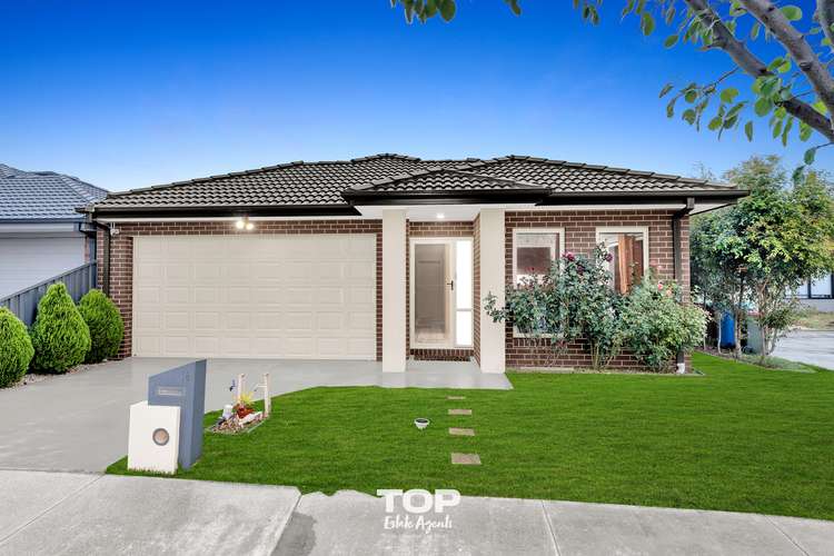 16 Baranello Crescent, Cranbourne East VIC 3977