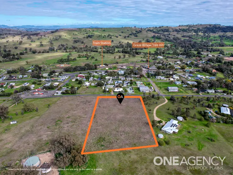 Main view of Homely land listing, 10 Hall Street, Willow Tree NSW 2339