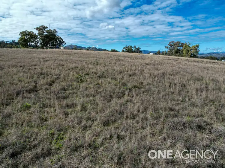 Fifth view of Homely land listing, 10 Hall Street, Willow Tree NSW 2339