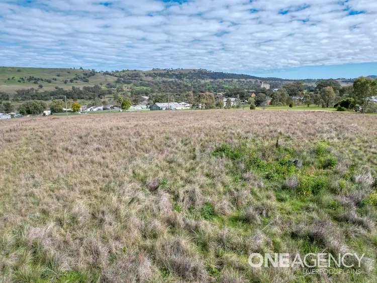 Seventh view of Homely land listing, 10 Hall Street, Willow Tree NSW 2339
