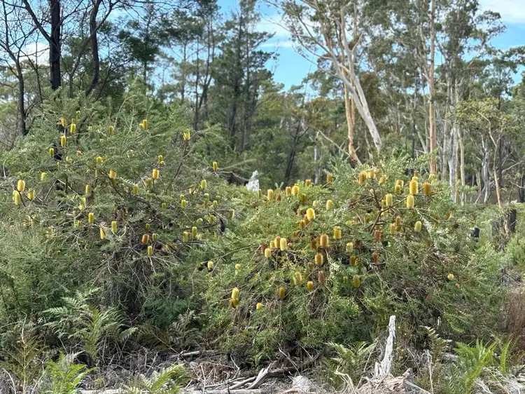 Third view of Homely land listing, 108 Parkwood Lane, Oallen NSW 2622