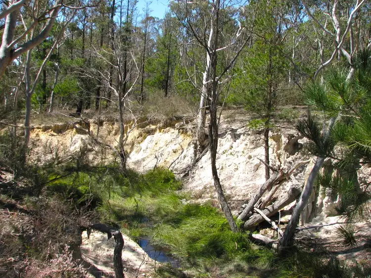 Sixth view of Homely land listing, 108 Parkwood Lane, Oallen NSW 2622