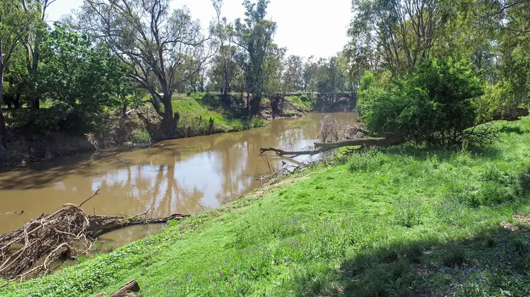 Main view of Homely rural property listing, Licence 617789 Wandary Lane, Forbes NSW 2871