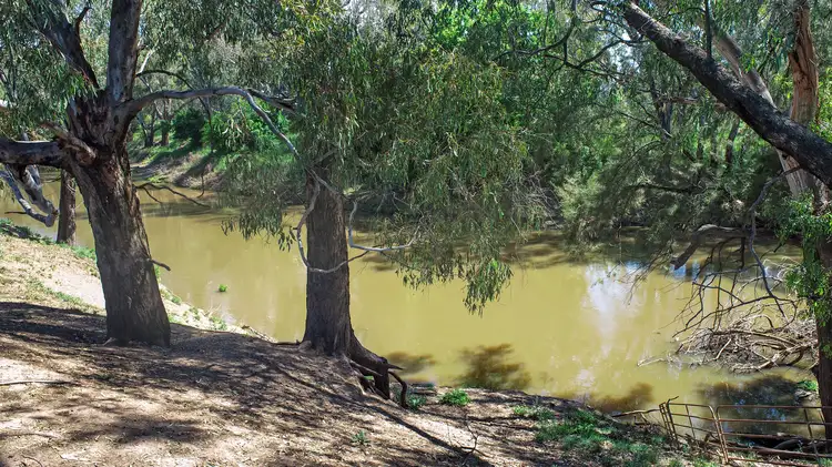 Third view of Homely rural property listing, Licence 617789 Wandary Lane, Forbes NSW 2871