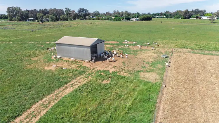 Fourth view of Homely rural property listing, Licence 617789 Wandary Lane, Forbes NSW 2871