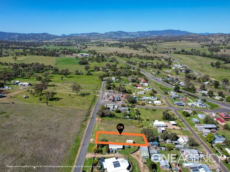 Main view of Homely land listing, 29 Hall Street, Willow Tree NSW 2339