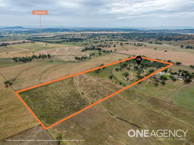 Main view of Homely house listing, 684 Borah Creek Road, Quirindi NSW 2343