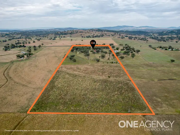 Fifth view of Homely house listing, 684 Borah Creek Road, Quirindi NSW 2343