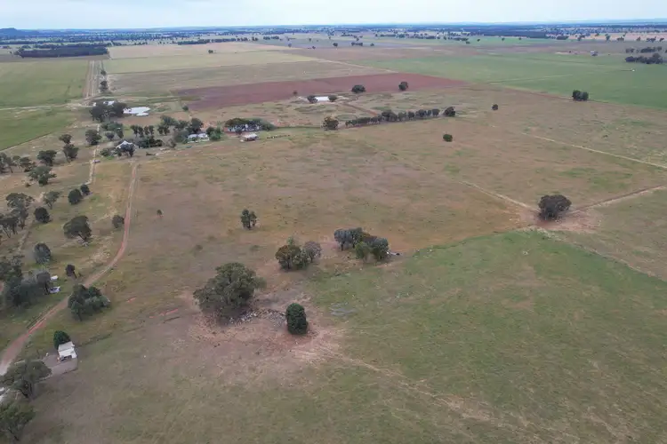 Main view of Homely rural property listing, "Sunnyvale" 120 Pouts Road, Forbes NSW 2871