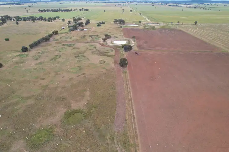 Second view of Homely rural property listing, "Sunnyvale" 120 Pouts Road, Forbes NSW 2871