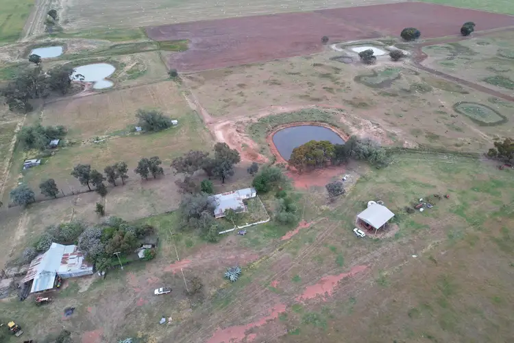 Fourth view of Homely rural property listing, "Sunnyvale" 120 Pouts Road, Forbes NSW 2871