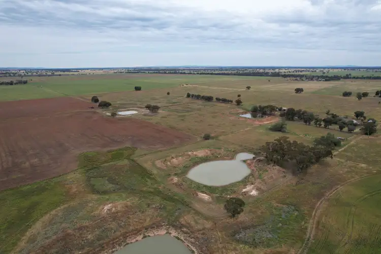 Sixth view of Homely rural property listing, "Sunnyvale" 120 Pouts Road, Forbes NSW 2871